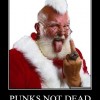 Varg_Wolf